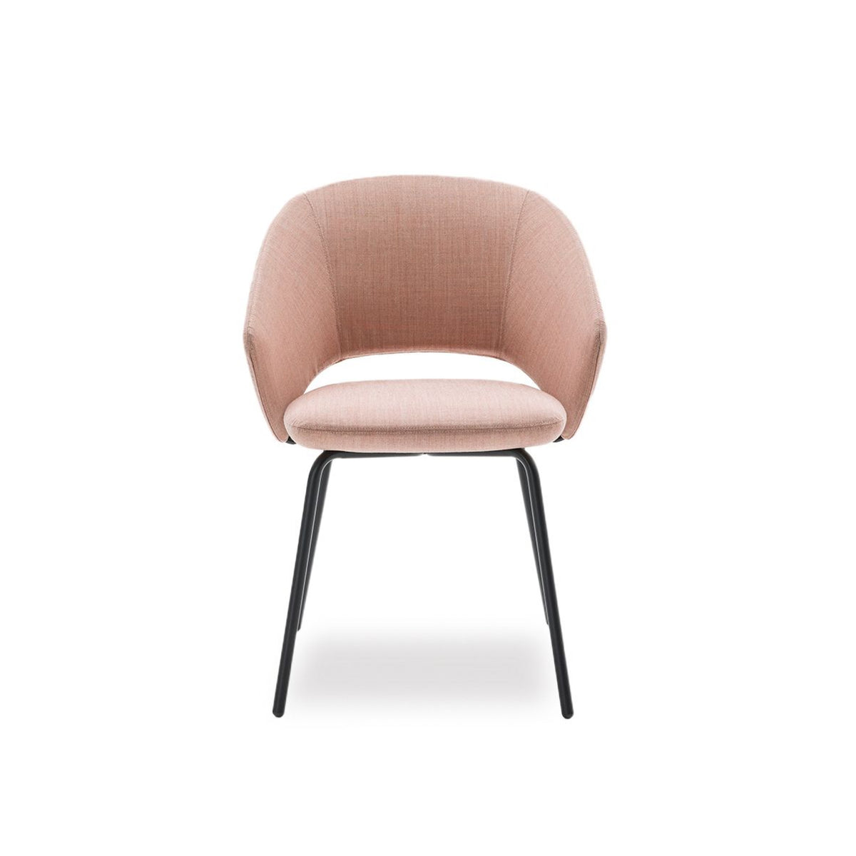 Icon Soft