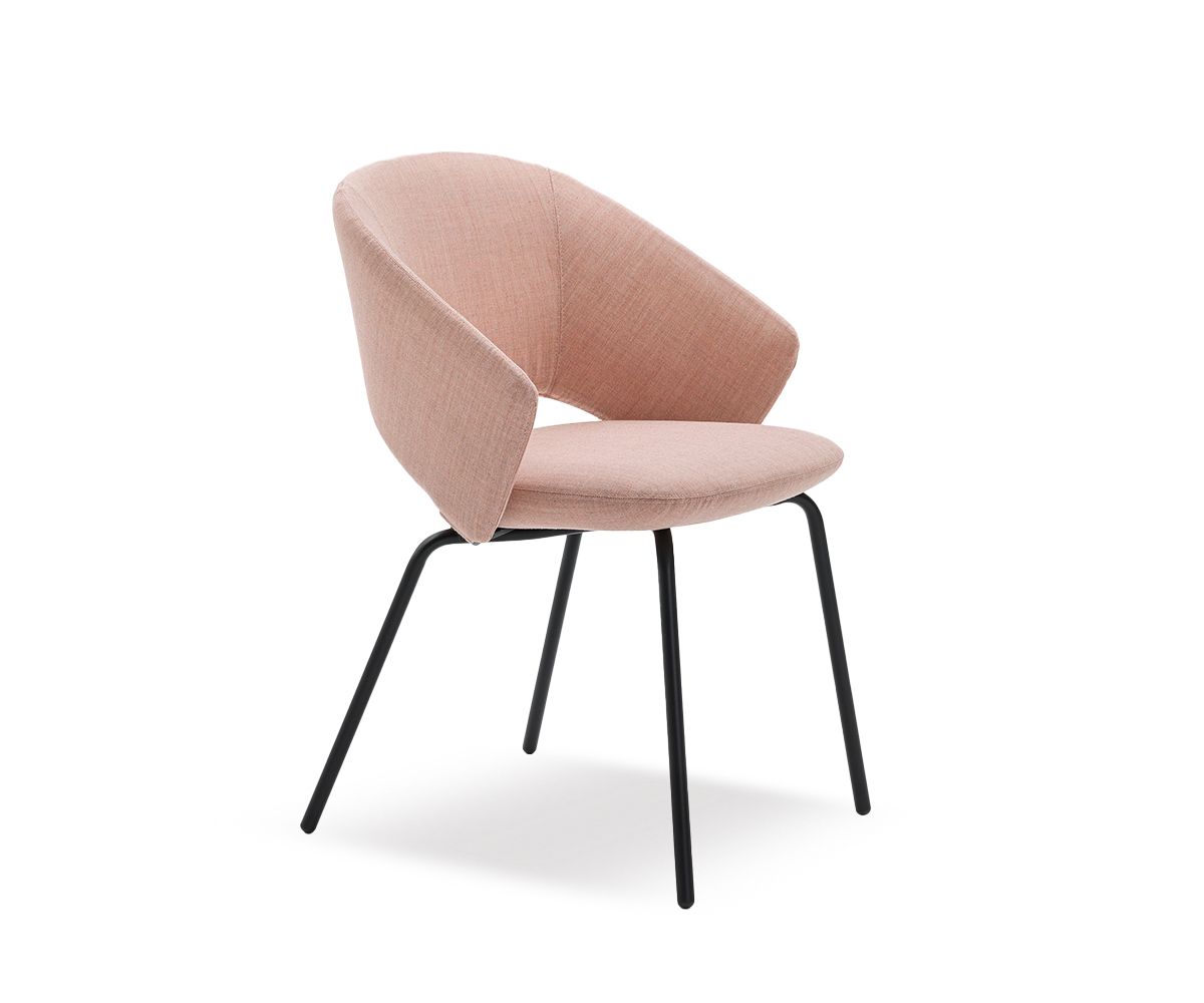 Icon Soft