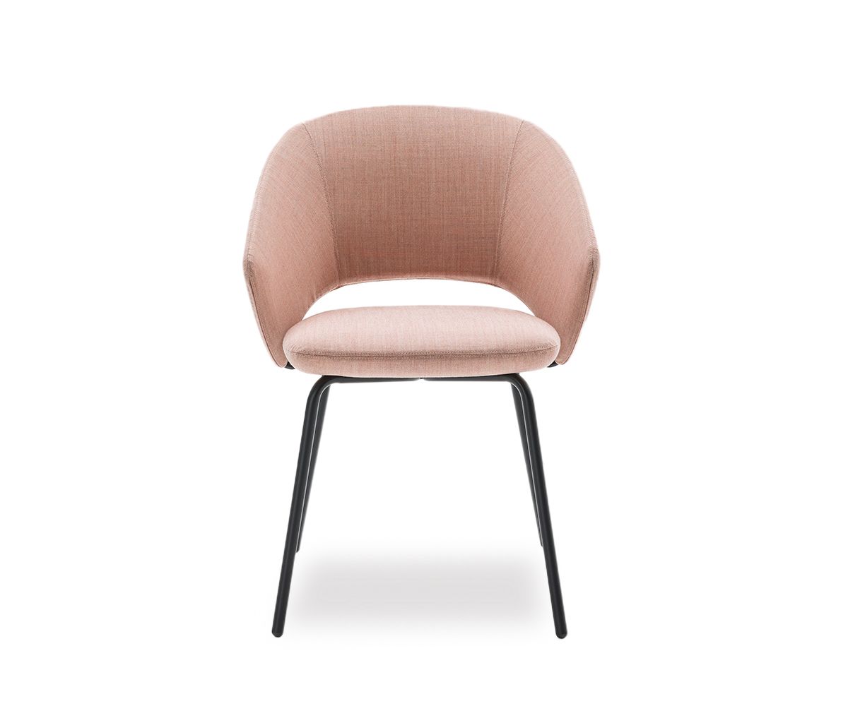 Icon Soft