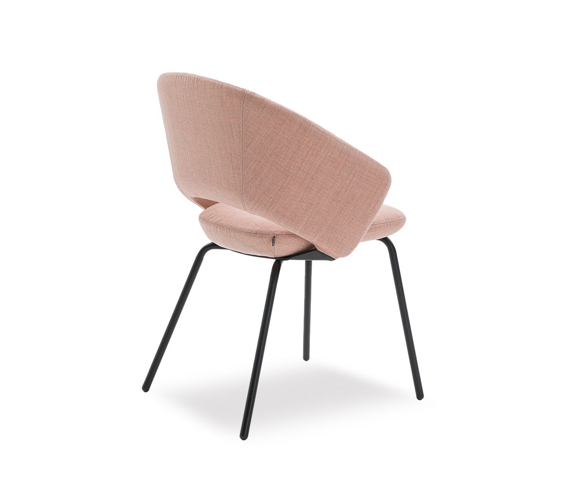Icon Soft