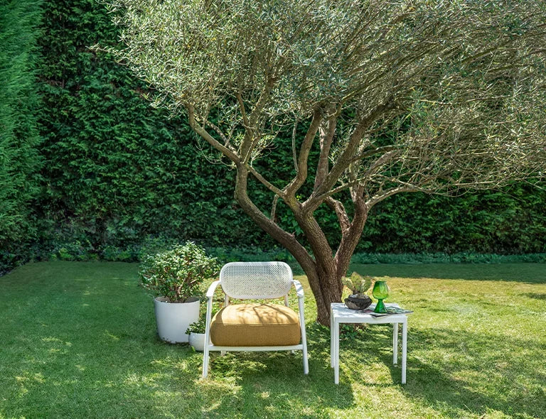 Poltrona Nuta Lounge di Gaber