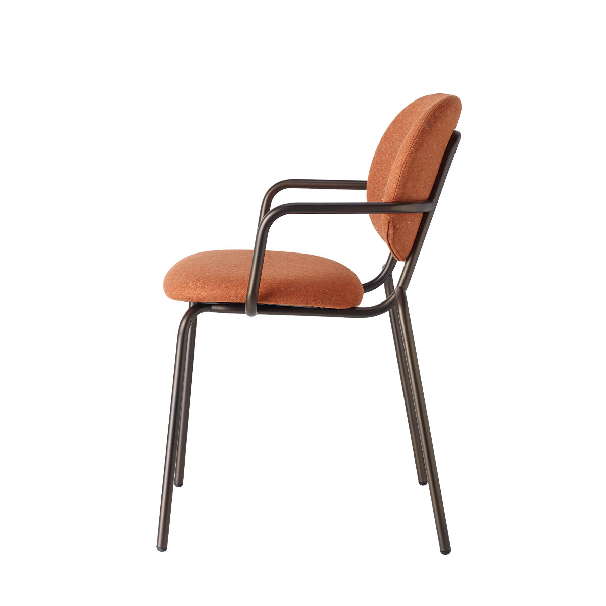 Si-Si Bold